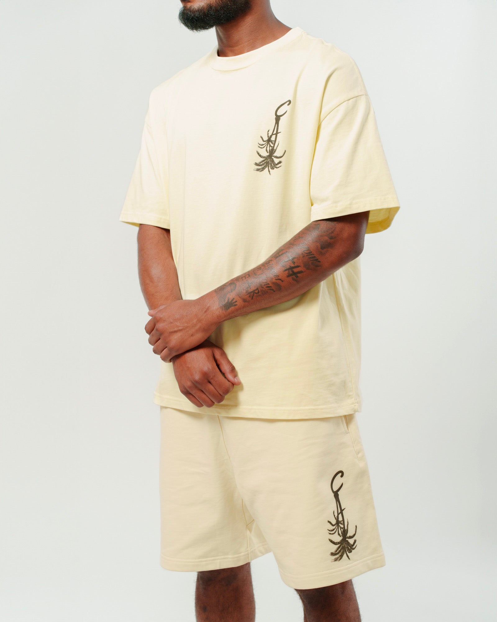 Cream Palm Tree oversized