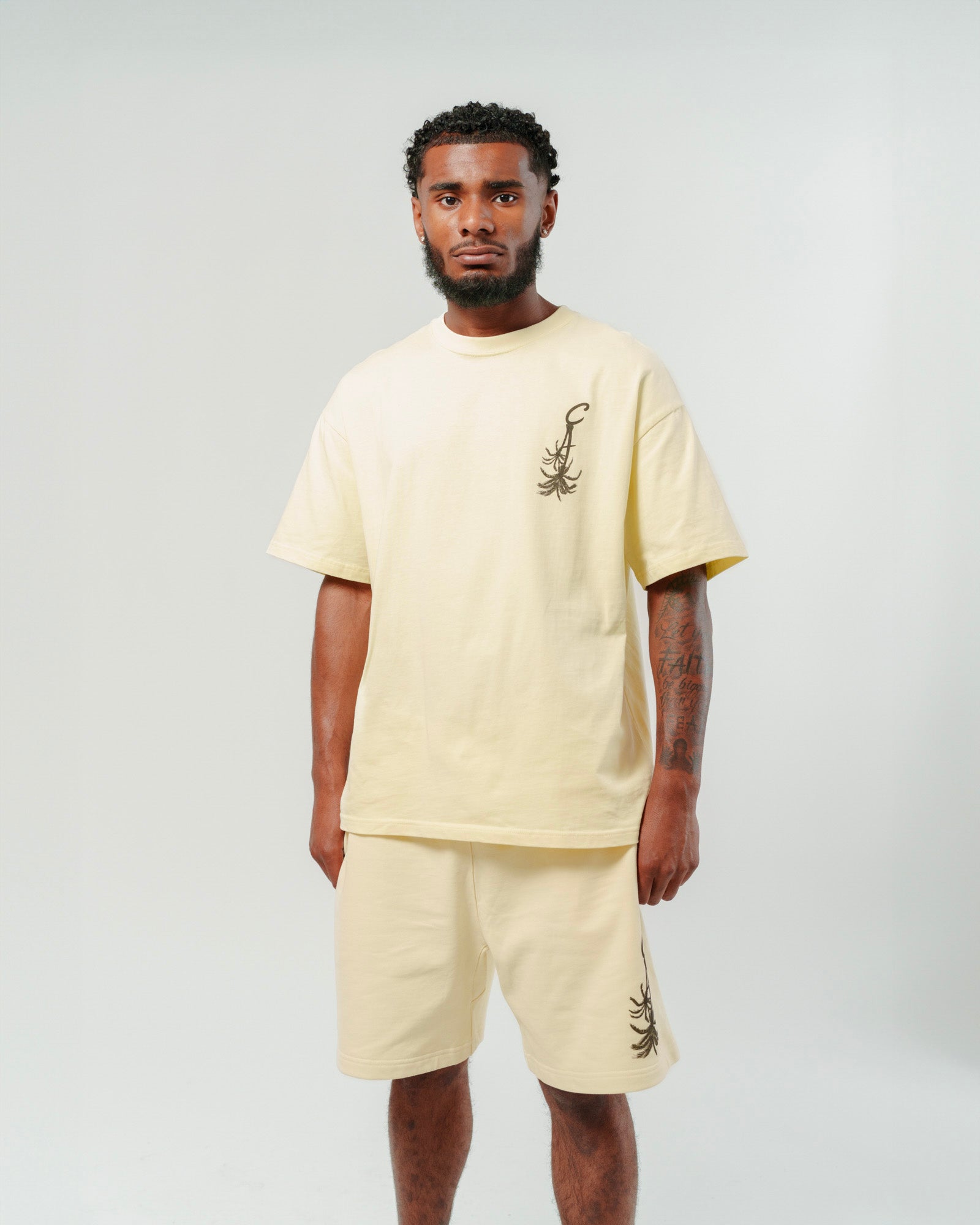 Cream Palm Tree oversized